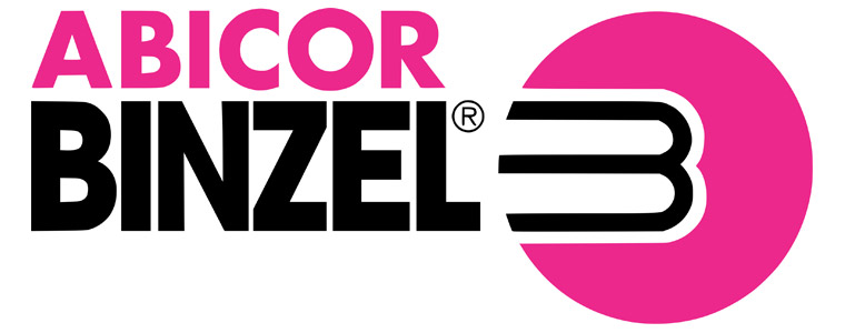 Logo Binzel